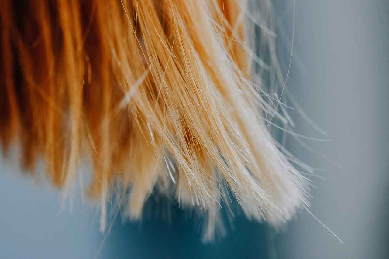 Rambut Rontok? Treatment Apa yang Cocok? Panduan Lengkap Mengatasi Kerontokan Rambut